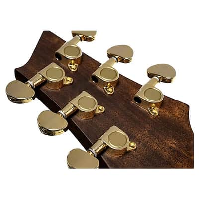 Cort Frank Gambale Signature LUXE II Acoustic-Electric w/Case, Video Demo, Fishman Flex Blend System image 18
