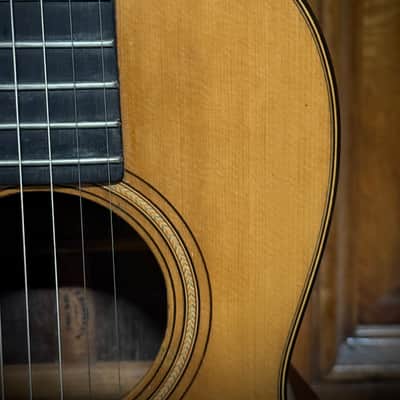 1870s Martin 2-20 Parlor Guitar, Adirondack Spruce & Brazilian RW **Neck Replaced** image 5
