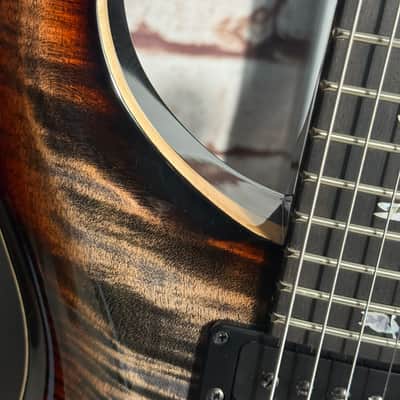 Immagine PRS Wood Library-Modell Custom 24 Charcoal Tri-Colour Burst - 10 Top- Ebony FB - 85/15+ TCI 2 pcs Worldwide #1 - 6