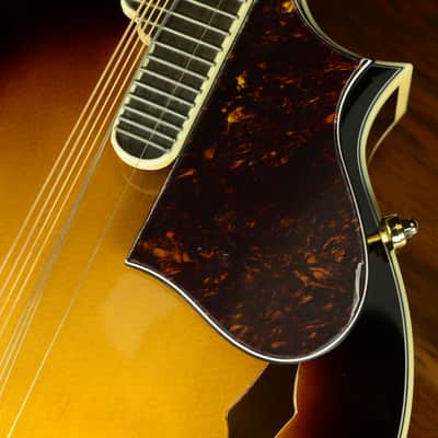 Fender FM-63S Mandolin - like new, never played image 2