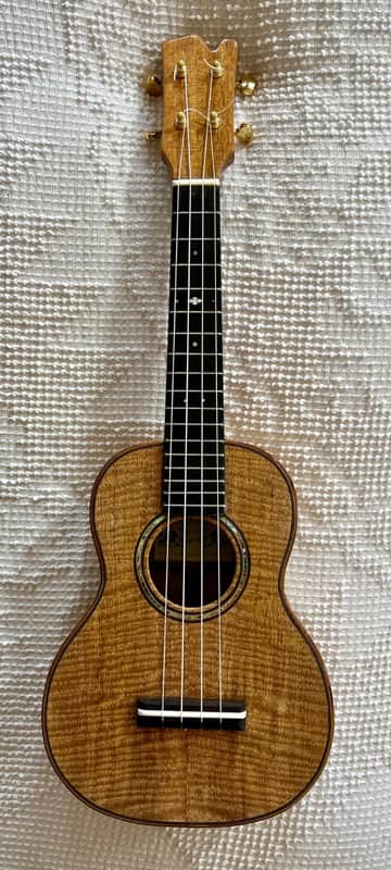 NEW 2025 David Gomes Concert Ukulele - Mango image 1