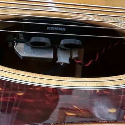 Eastman AC122-1CE-DLX Grand Auditorium Acoustic-Electric w/ Gig Bag & Free Pro Setup image 8