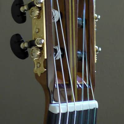 Alejandro Cervantes Hauser Concert Classical Guitar With Case And Shipping image 14