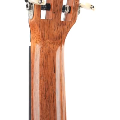 Jellinghaus Master Built Torres 1A 114 Spruce Pau Ferro B-Stock image 6