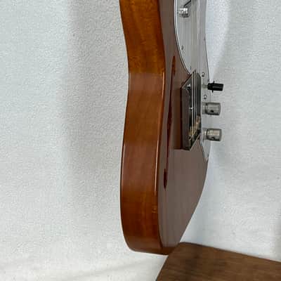 Nash T-69 TL image 18