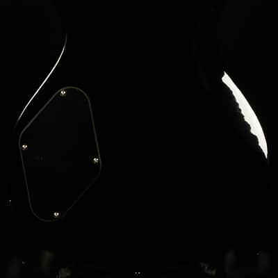 PRS Guitars 2022 Model SE 245 image 2