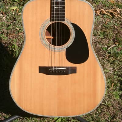 1975 Yairi YW-600 Dreadnought Guitar New Jacaranda Natural+Hard Case image 2