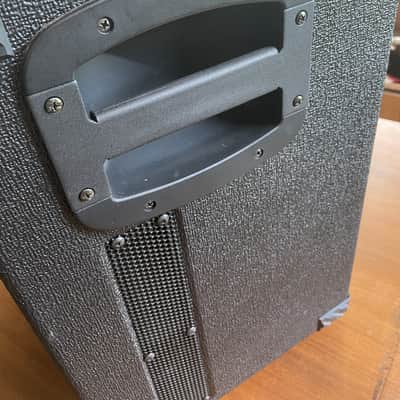 Euphonic Audio - Wizzy (12" M-Line Bass Cab) image 6