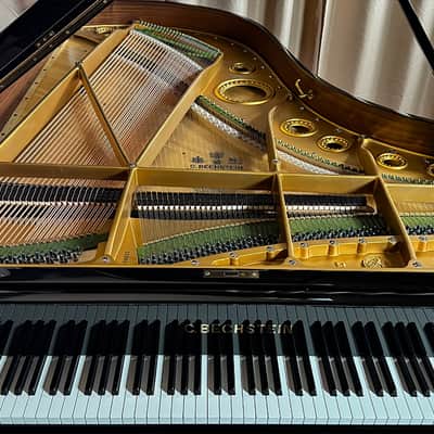 C. Bechstein B 1919 - Ebony Polish image 6