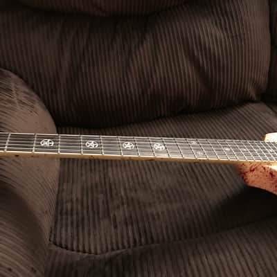 Washburn Vindicator HM Series Scott Ian Signature *RARE Blood Splatter V Guitar* image 8