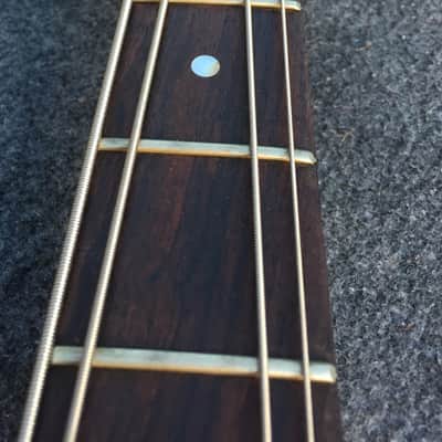 Wal Pro Bass 1979 Natural 1 pickup RARE image 14