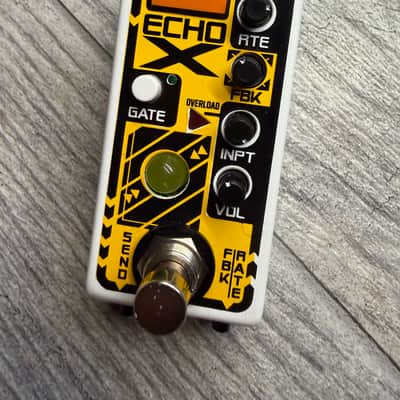 Rainger FX Echo-X Mini Digital Delay w/ Igor Pressure Pad
