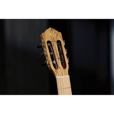 Ortega Signature Series Thomas Zwijsen Acoustic-Electric Nylon Classical Guitar w/ Bag image 16