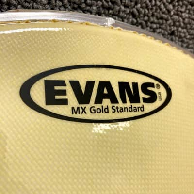 Evans 14" Rare MX Gold Standard Marching Snare Batter Head w/ Internal Ring SB14MXGS image 6