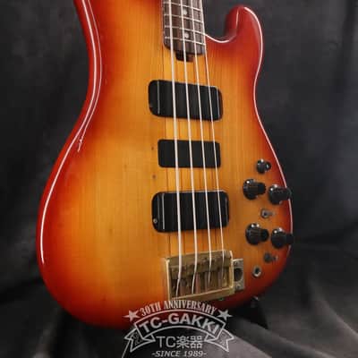 Fernandes 1979-1981 FPM-100 image 7