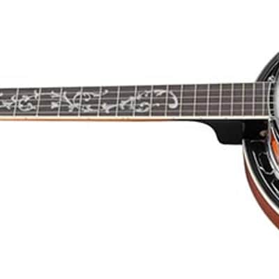 Ibanez B200 5-String Banjo Right-Handed Closed Back image 3
