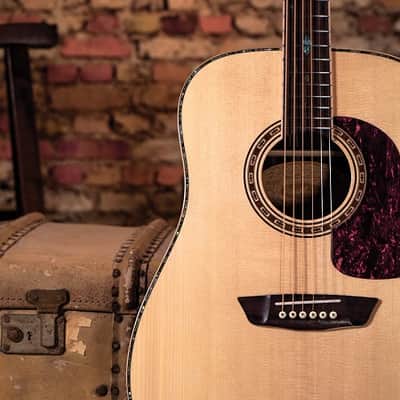 Washburn HD80S-L Heritage Elite HD80 Dreadnought Acoustic Guitar image 25