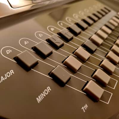 MUST SEE!!! SUZUKI OMNICHORD OM-200M (MIDI!) FULLY INSPECTED/SERVICED AND IN AMAZING CONDITION! image 7