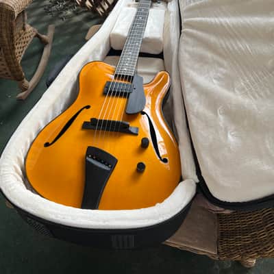 Tim Bram Tribute thinline archtop custom built image 1