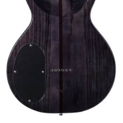 Washburn Hawk 6-String Trans Black image 2