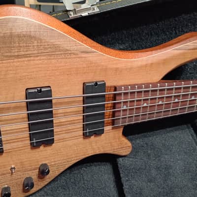 Corpus Buddy Bass 5 Strings - Lodato Guitars Handcrafted image 4