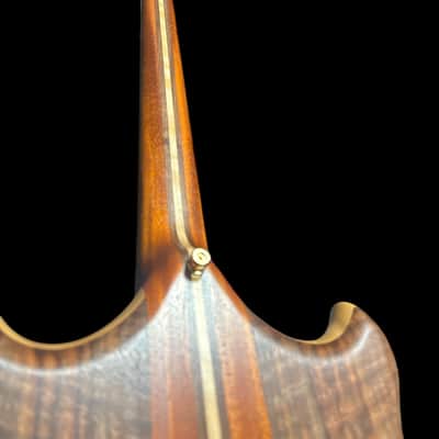 Alembic Stanley Clarke "Brown Bass", Flame Walnut with Ebony, BLUE LEDS *IN STOCK*** image 9