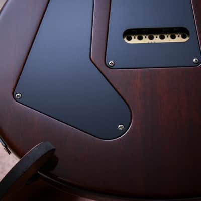 PRS USA Paul Reed Smith Wood Library Special 22 Semi Hollow 10-Top "Copperhead Burst" (2024) image 20