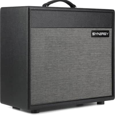 Synergy SYN-20IR 20-watt  1 x 12-inch Combo Amplifier - No Module Included - Black (SYN-20IRCd2) image 1