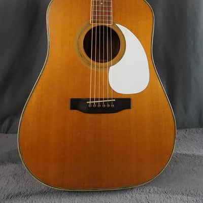 Morris W-35 Special Japan Acoustic Guitar image 2