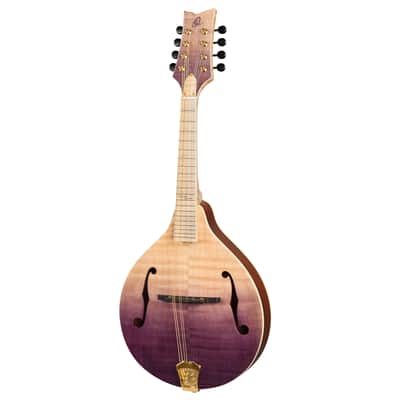 Ortega RMA200PF Americana Series A-Style Solid Flamed Maple Top Maple Neck 8-String Mandolin w/Croco Leather Case image 6