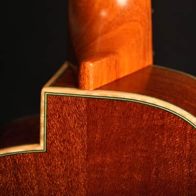aNueNue Green Bird US110 Soprano 2026 - Natural image 8