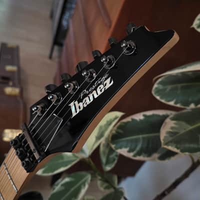 Ibanez Prestige RG2450Z TEAM J CRAFT 2008 LIMITED EDITION Maple Fretboard Custom EMG FujiGen HH Super Strat RG Guitar MIJ Japan image 4