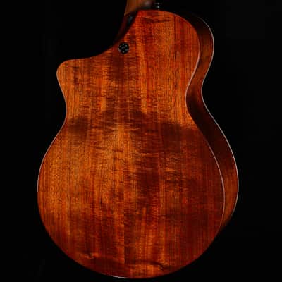 Martin SC-13E Modern  (706) image 2