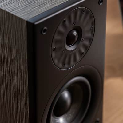 Starke Sound Beta5 2026 - Aoki Flaxen Grey image 5