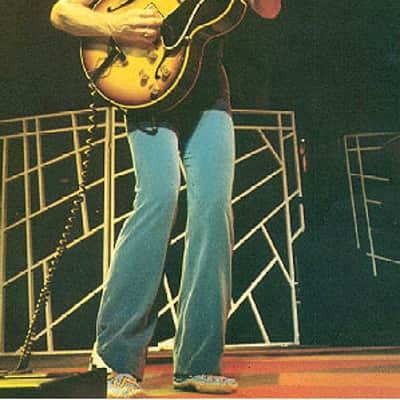 Gibson ES175 1959 image 13