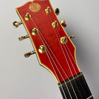 Vintage series custom guitar MihaDo GS image 7