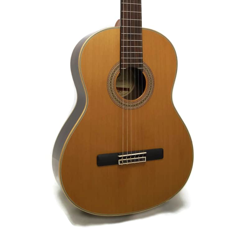 Samick Greg Bennett Design C5 Barcelona Series Nylon Classical