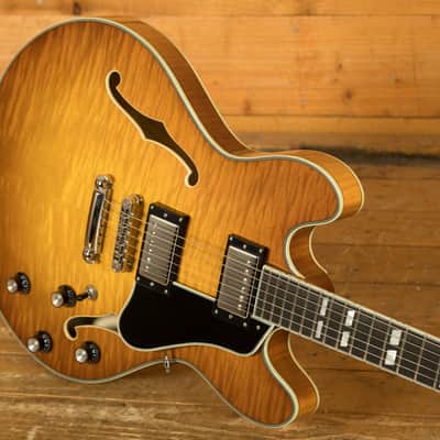 Eastman T486 - Goldburst image 5