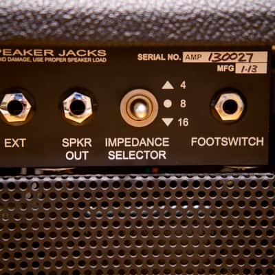 PRS 2 Channel H (100/50 Watt Custom) image 9