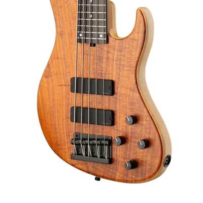 Sadowsky Metroline 24-Fret Modern Bass, Limited Edition 2025, 5-String, Natural Transparent Satin image 4