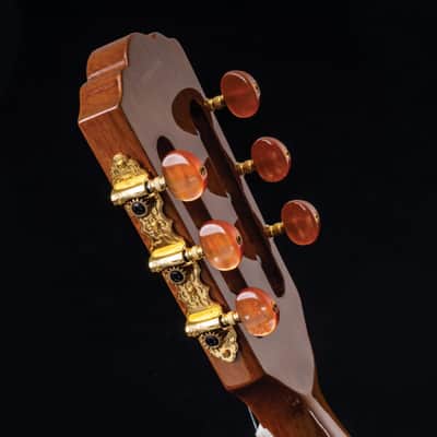 Washburn EACT42S | Festival Series Acoustic-Electric Classical Guitar. New with Full Warranty! image 13