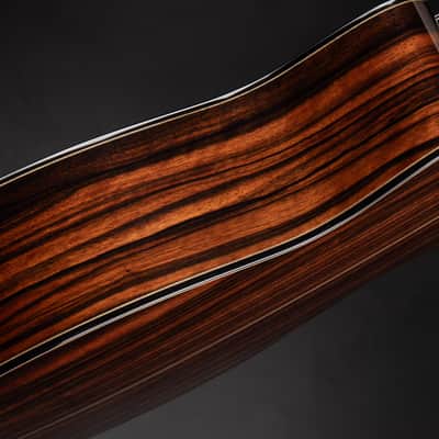 Goodall Parlor 14 Fret Cutaway - Bearclaw Sitka Spruce & Macassar Ebony image 11