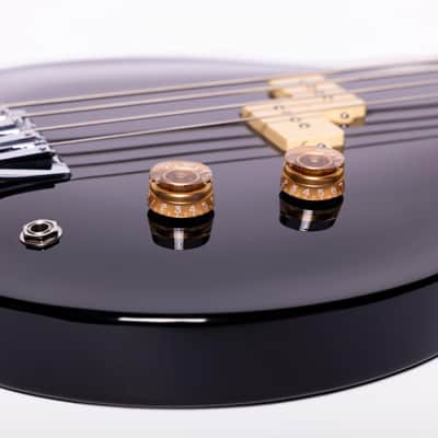 Washburn SB4 Wing Series Scavenger Bass w/Gigbag image 7