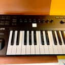 Native Instruments Komplete Kontrol A25 2018 - Present - Black