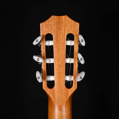 Taylor 814ce-N w/ Sitka Spruce Top & Indian Rosewood Back and Sides Acoustic/ Electric Guitar- Natural 2025 (1210085039) image 7