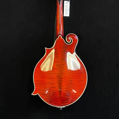 Eastman MD815 2026 - Authorized Dealer image 8