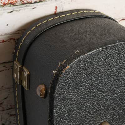 Eastwood - Hollow Body Hard Shell Case Black - USED image 5