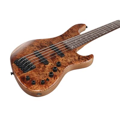 Ibanez Mode MDM1605-NML Natural Mocha Low Gloss - 5-String Electric Bass image 6