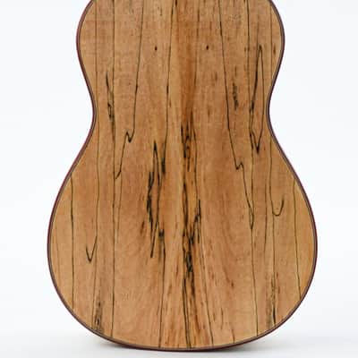 Cordoba 24B Spalted Maple Spruce Baritone Ukulele image 4