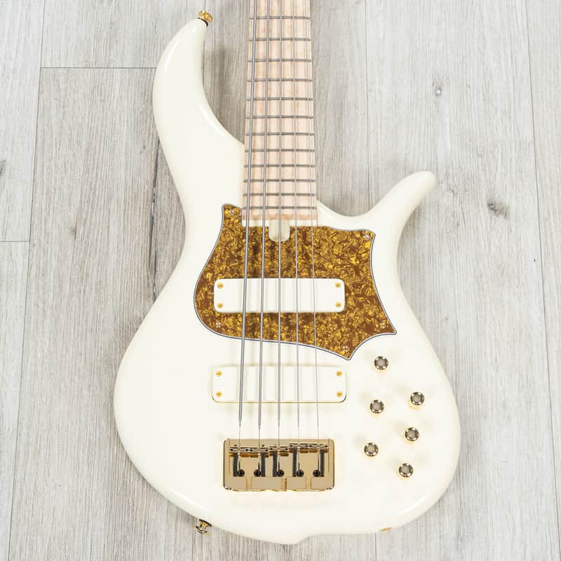 F Bass BN5 | Reverb